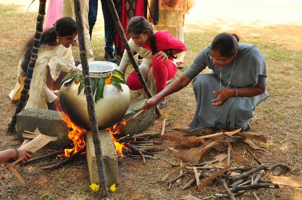 Pongal Festival , 2022