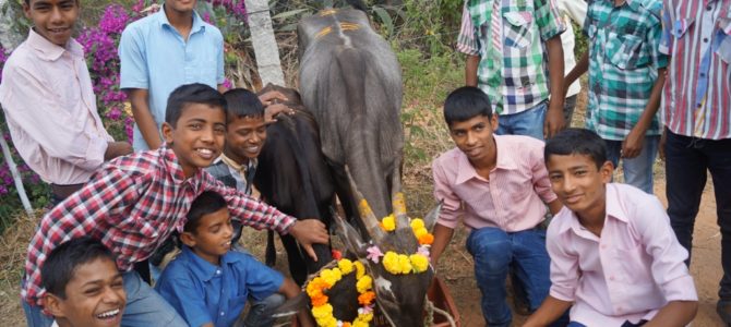 Pongal Celebration