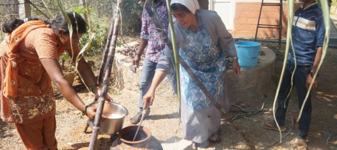 Pongal Celebration 2018