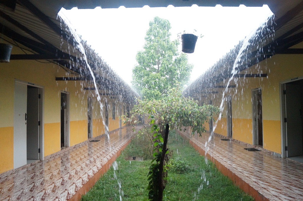 Summer Rains Snehagram