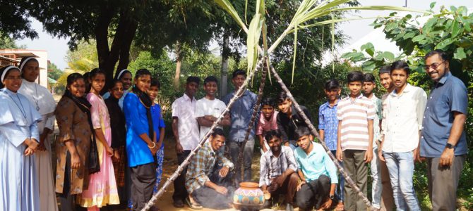 Pongal Celebration