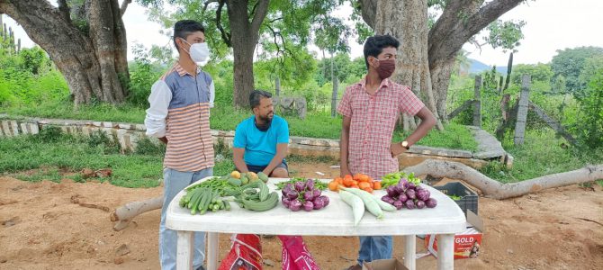 Sales of Organic Vegetables